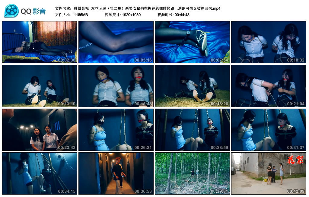 【胜景影视】 双花卧底（第二集）-BD绳艺资源