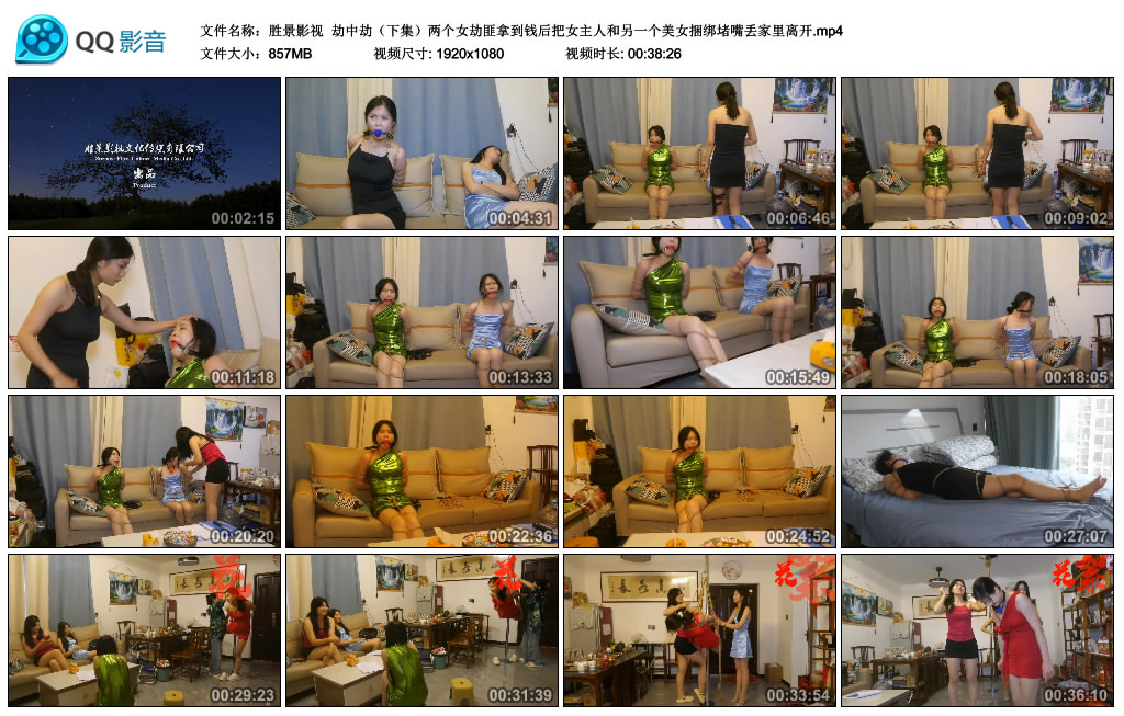 【胜景影视】 劫中劫（下集）-BD绳艺资源