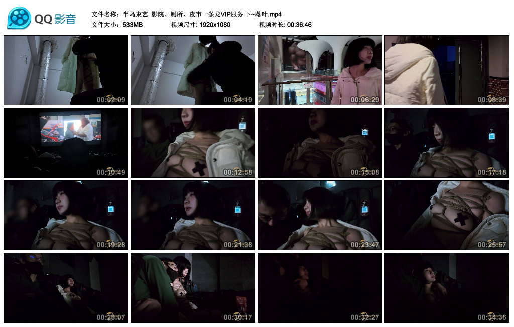 【半岛束艺】 影院、厕所、夜市一条龙VIP服务 下~落叶-BD绳艺资源