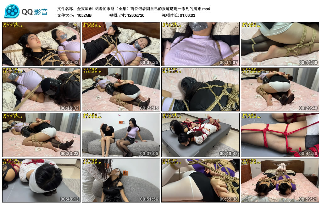 【金宝原创】 记者的末路（全集）两位记者因自己的报道遭遇一系列的磨难-BD绳艺资源