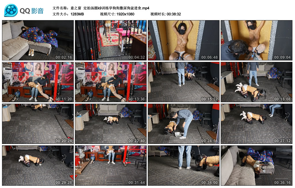 【意之窗】 定拍汤圆k9训练学狗狗撒尿狗盆进食-BD绳艺资源