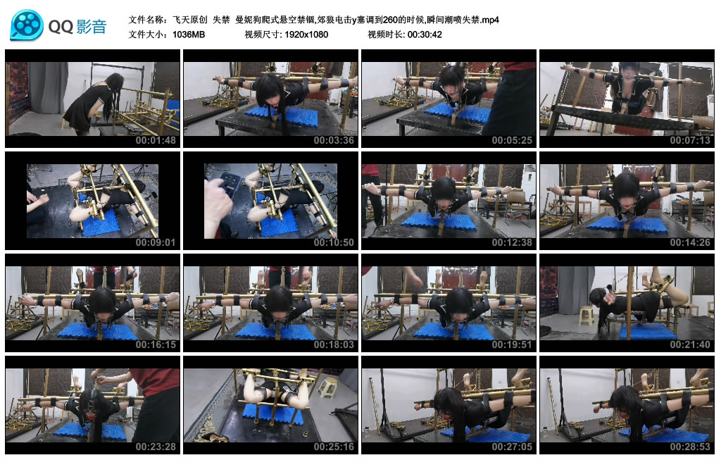 【飞天原创】 失禁  曼妮狗爬式悬空禁锢,郊狼电击y塞调到260的时候,瞬间潮喷失禁-BD绳艺资源