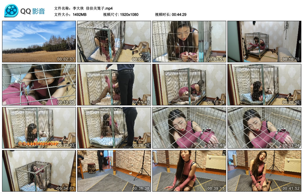 【李大侠】 佳佳关笼子-BD绳艺资源