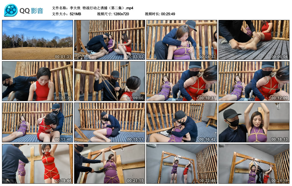 【李大侠】 特战行动之诱捕（第二集）-BD绳艺资源