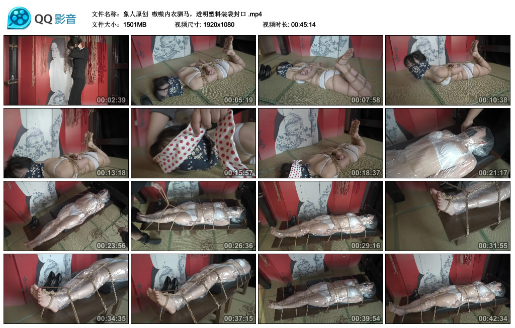 【象人原创】 嗷嗷内衣驷马，透明塑料装袋封口-BD绳艺资源