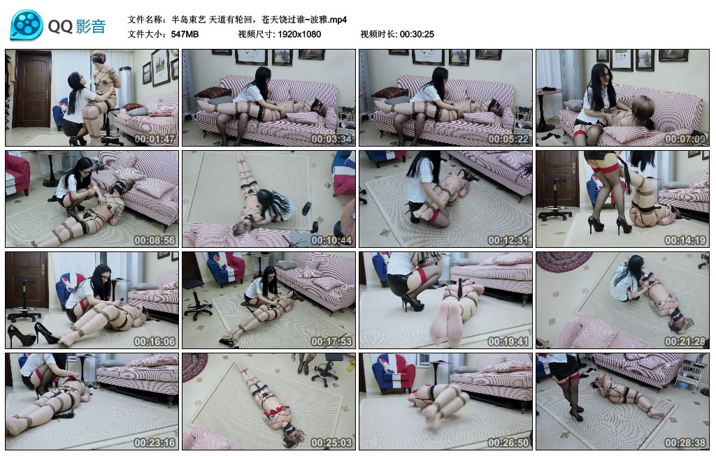 【半岛束艺】天道有轮回，苍天饶过谁~波雅-BD绳艺资源