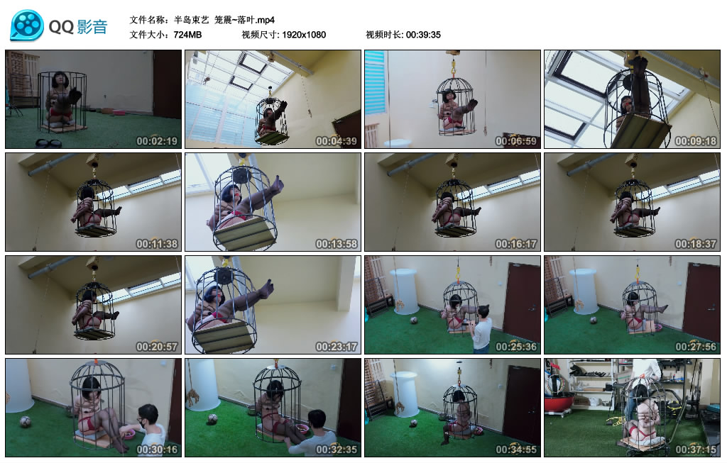 【半岛束艺】 笼震~落叶-BD绳艺资源