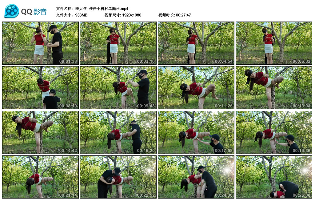 【李大侠】 佳佳小树林单腿吊-BD绳艺资源