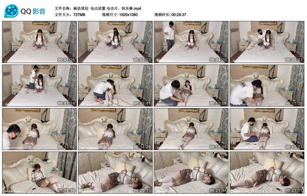 【秘语原创】 电击放置 电击片，快乐棒-BD绳艺资源