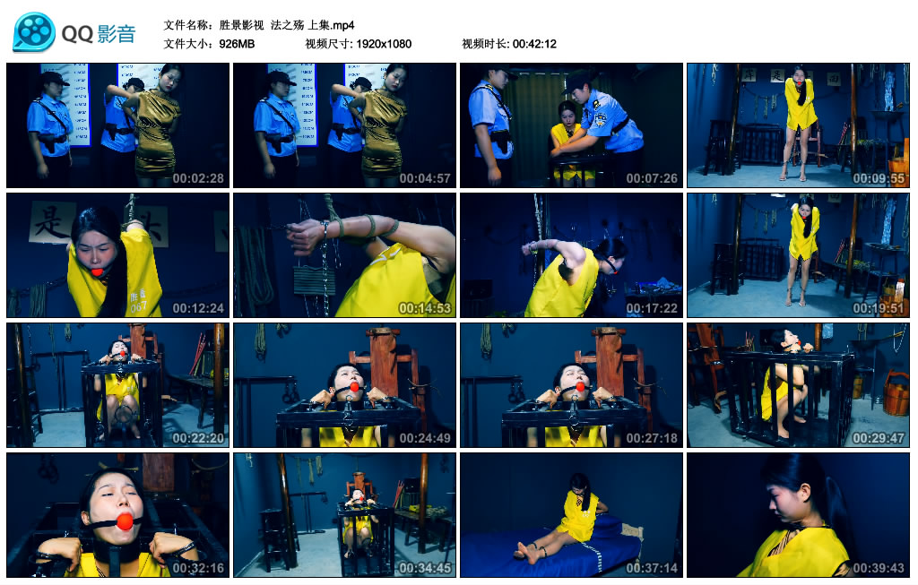 【胜景影视】 法之殇 上集-BD绳艺资源