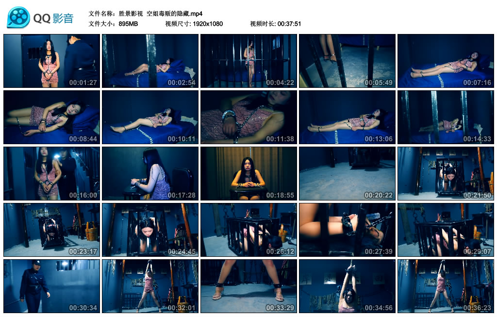 【胜景影视】 空姐毒贩的隐藏-BD绳艺资源