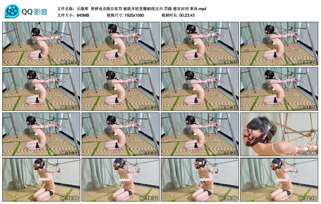 【长颜草】 梦婷电击限位惩罚-BD绳艺资源