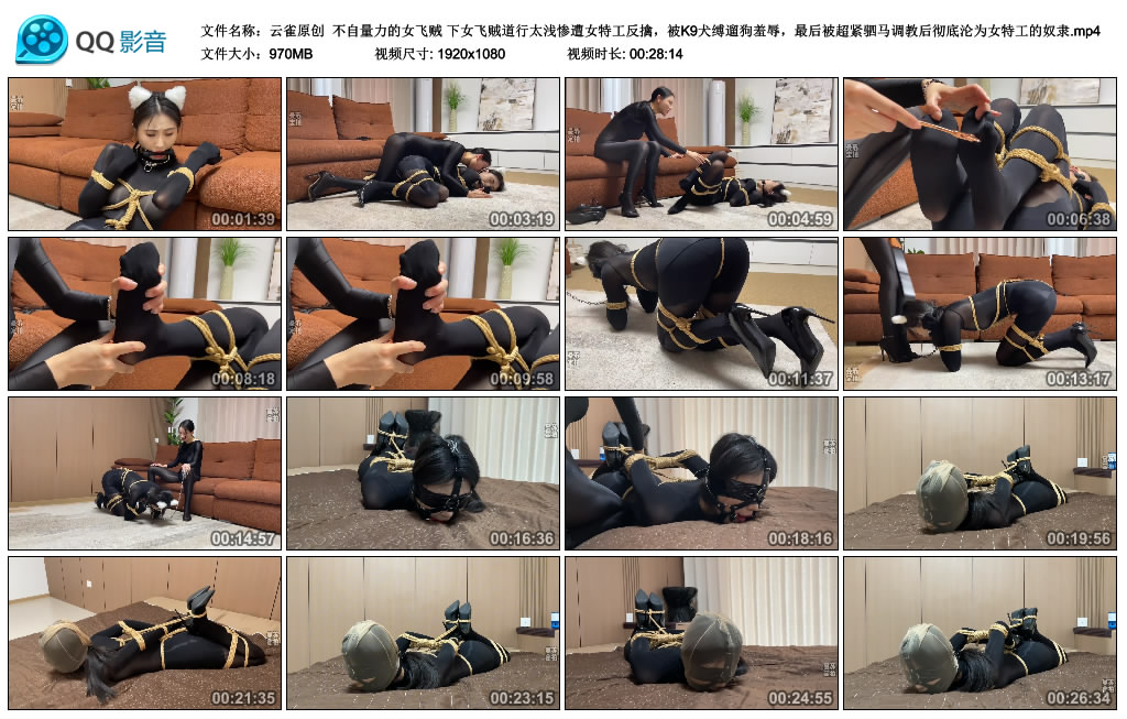 【云雀原创】 不自量力的女飞贼 下-BD绳艺资源