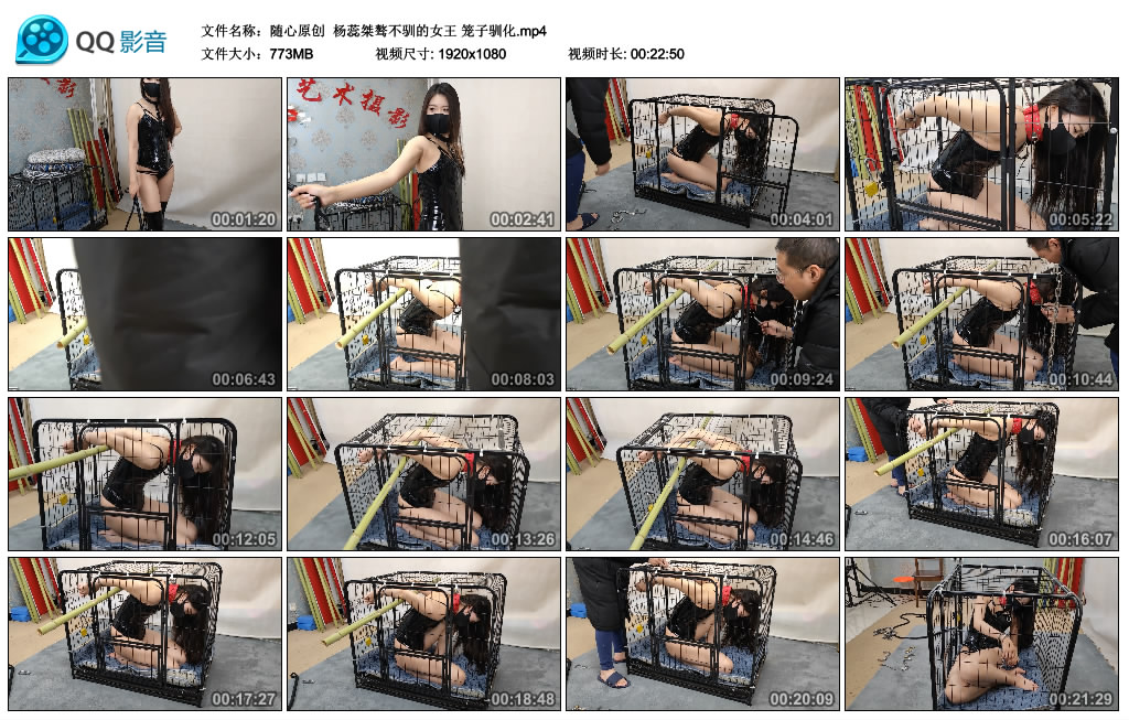【随心原创】 杨蕊桀骜不驯的女王 笼子驯化-BD绳艺资源