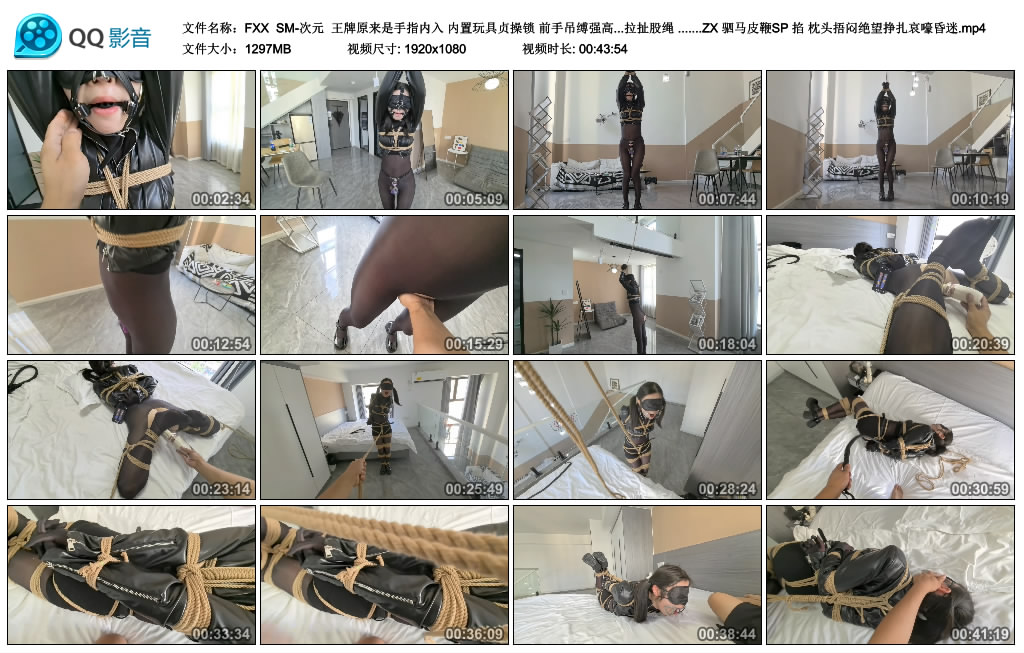 【FXX】 SM-次元-BD绳艺资源