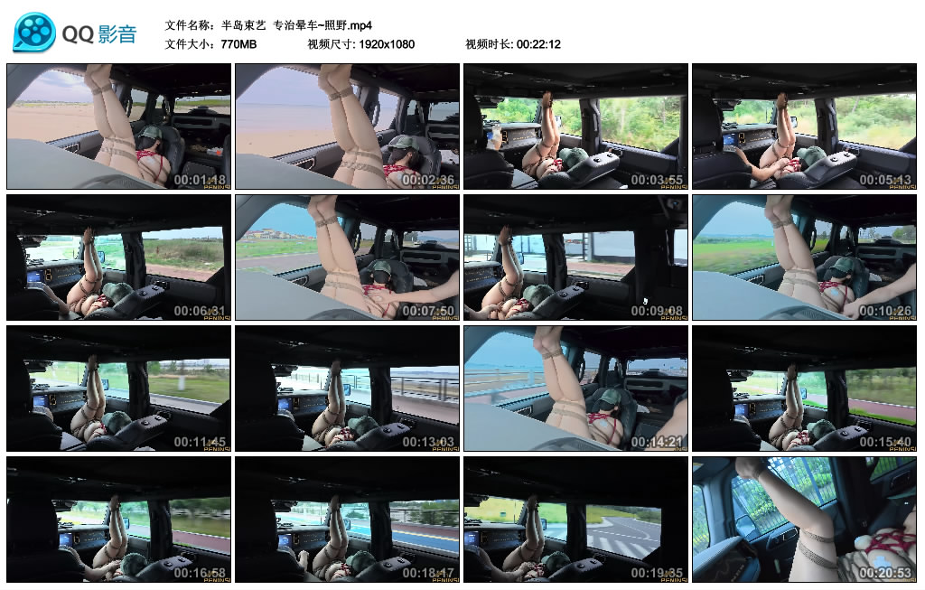 【半岛束艺】 专治晕车~照野-BD绳艺资源