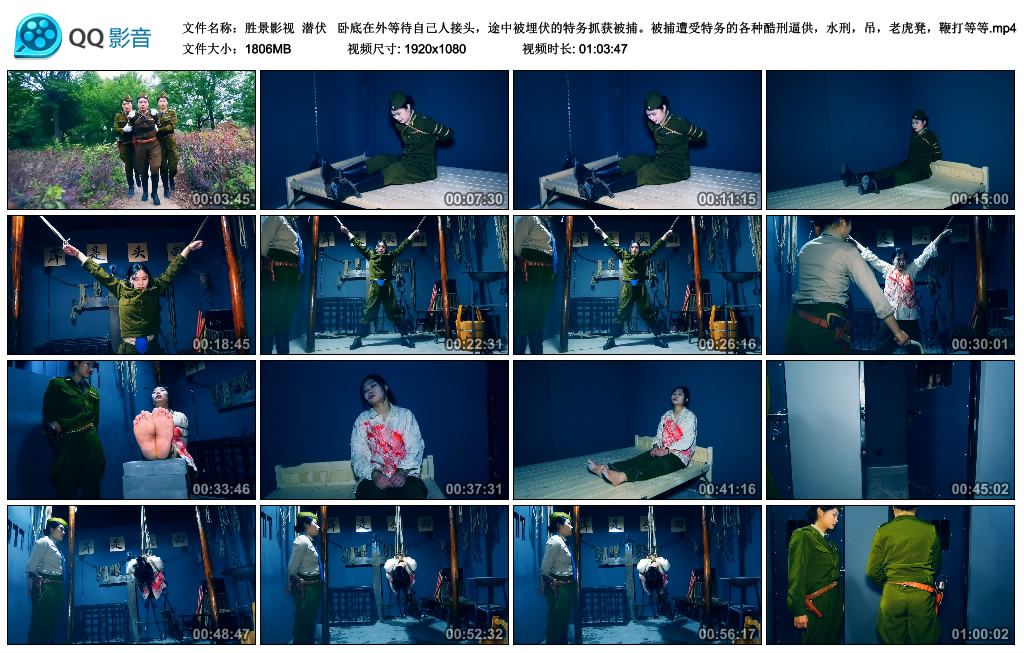 【胜景影视】 潜伏-BD绳艺资源