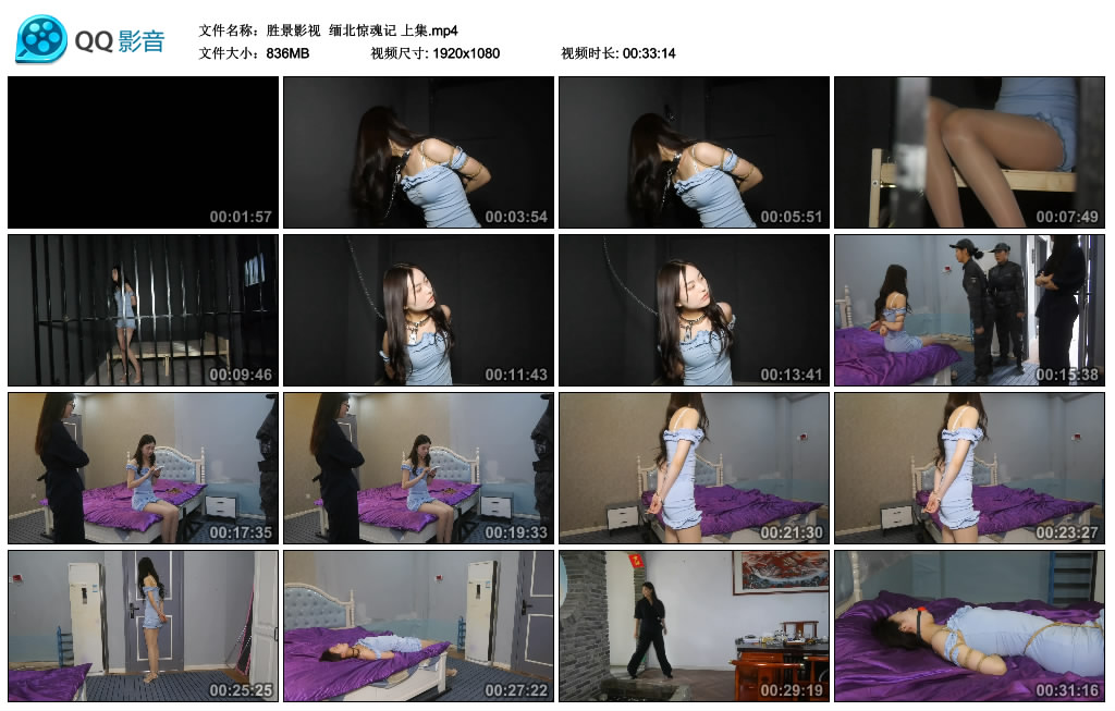 【胜景影视】 缅北惊魂记 上集-BD绳艺资源