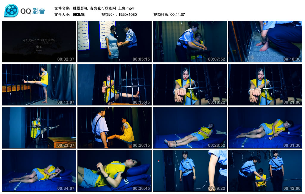 【胜景影视】 毒枭张可欣落网  上集-BD绳艺资源