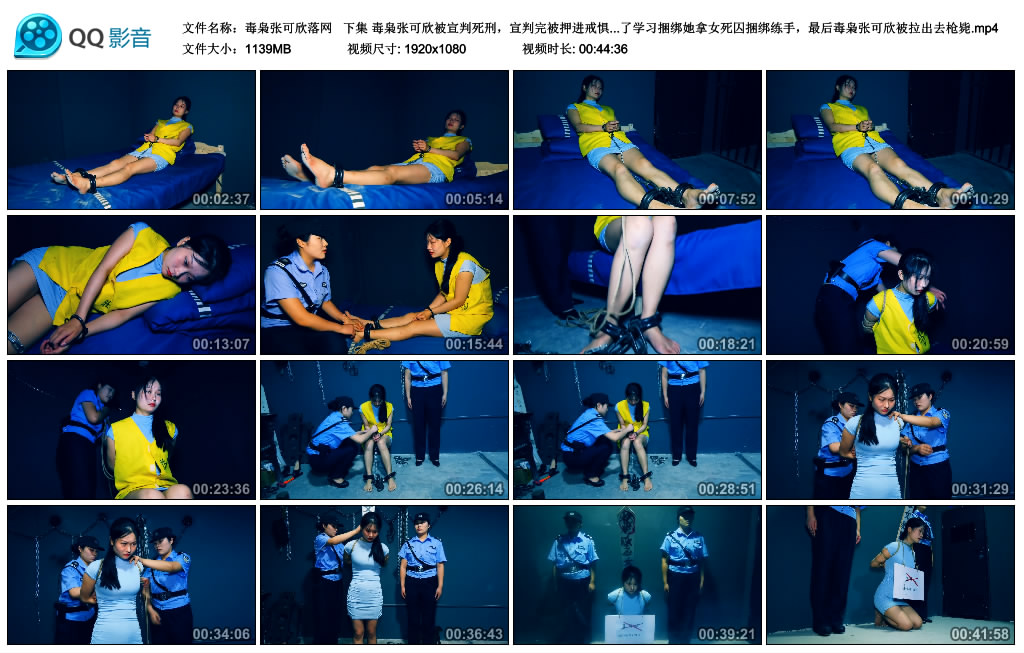 【胜景影视】 毒枭张可欣落网  下集-BD绳艺资源