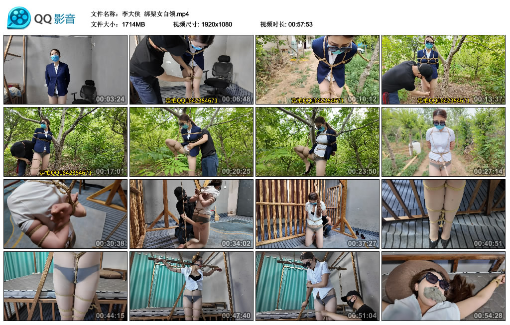 【李大侠】 绑架女白领-BD绳艺资源
