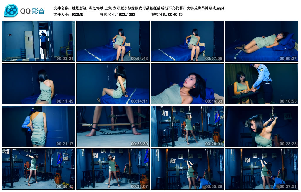 【胜景影视】 毒之悔以 上集-BD绳艺资源