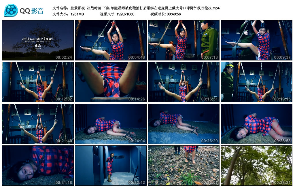 【胜景影视】 决战时刻 下集-BD绳艺资源