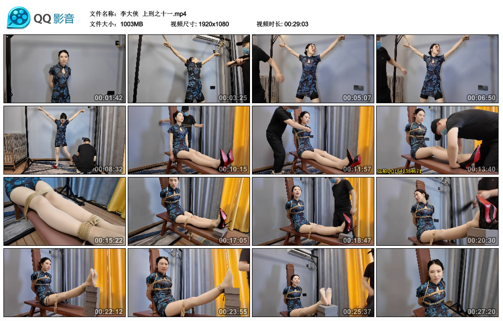 【李大侠】 上刑之十一-BD绳艺资源