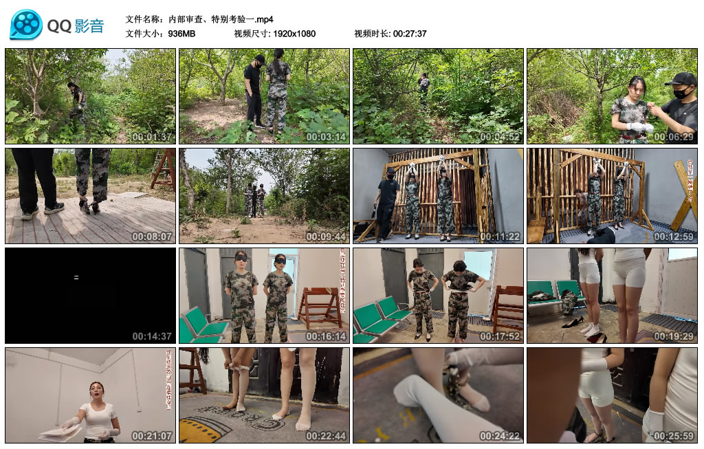 【李大侠】内部审查、特别考验一-BD绳艺资源