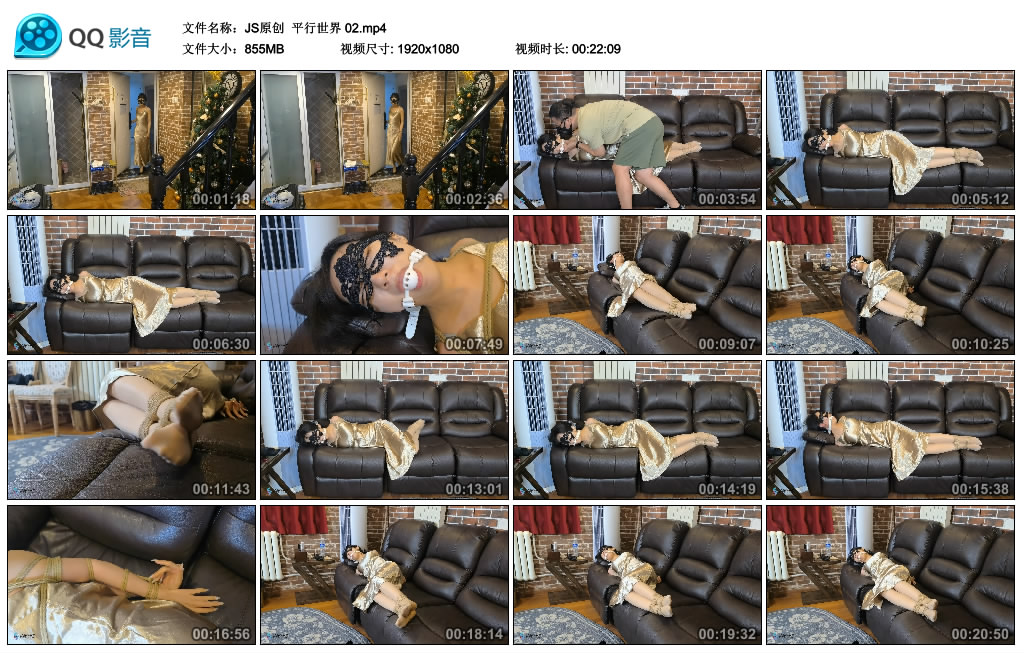 【JS原创】 平行世界 02-BD绳艺资源