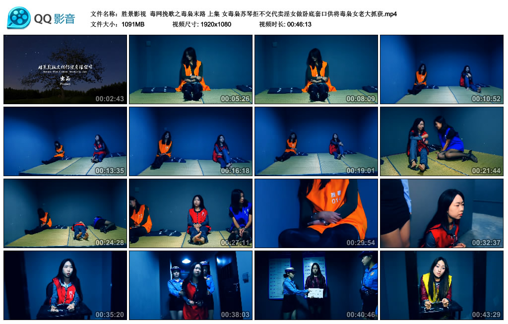 【胜景影视】 毒网挽歌之毒枭末路 上集-BD绳艺资源