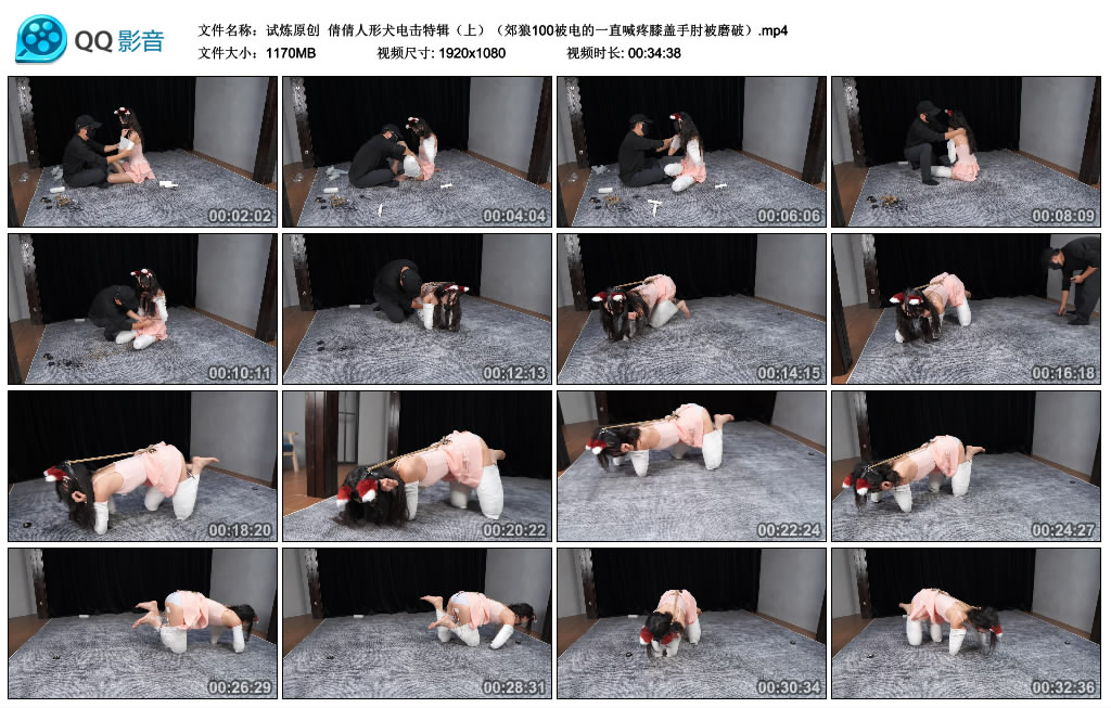【试炼原创】 倩倩人形犬电击特辑（上）郊狼100被电的一直喊疼膝盖手肘被磨破-BD绳艺资源