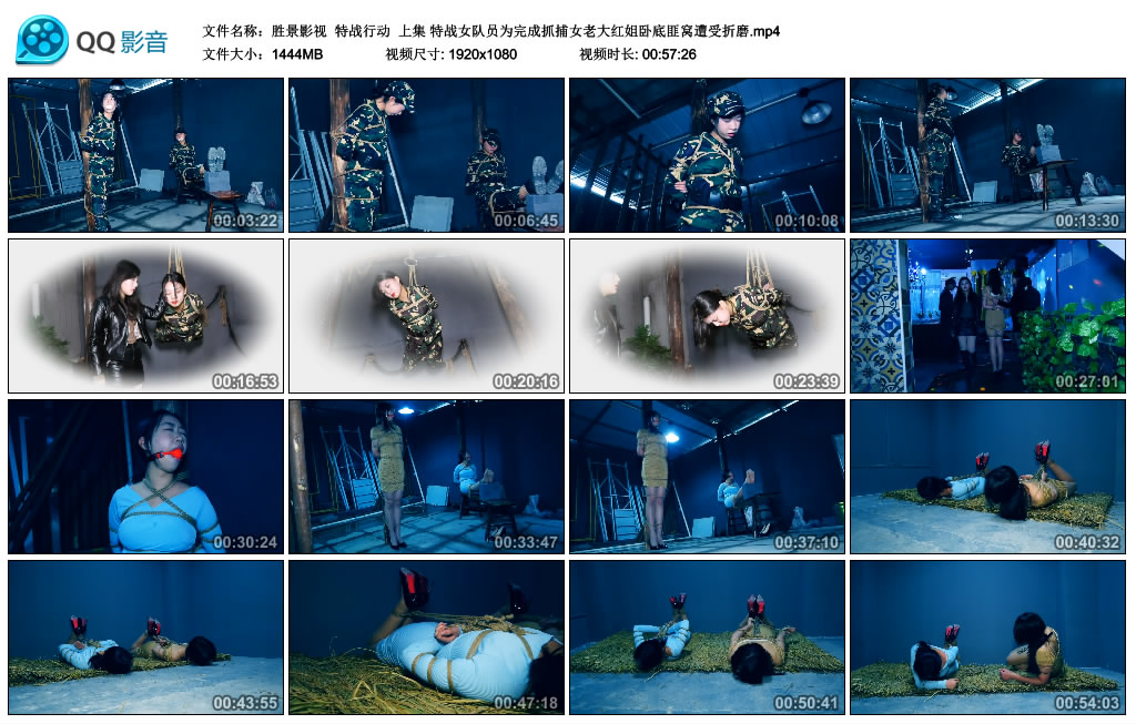 【胜景影视】 特战行动  上集-BD绳艺资源