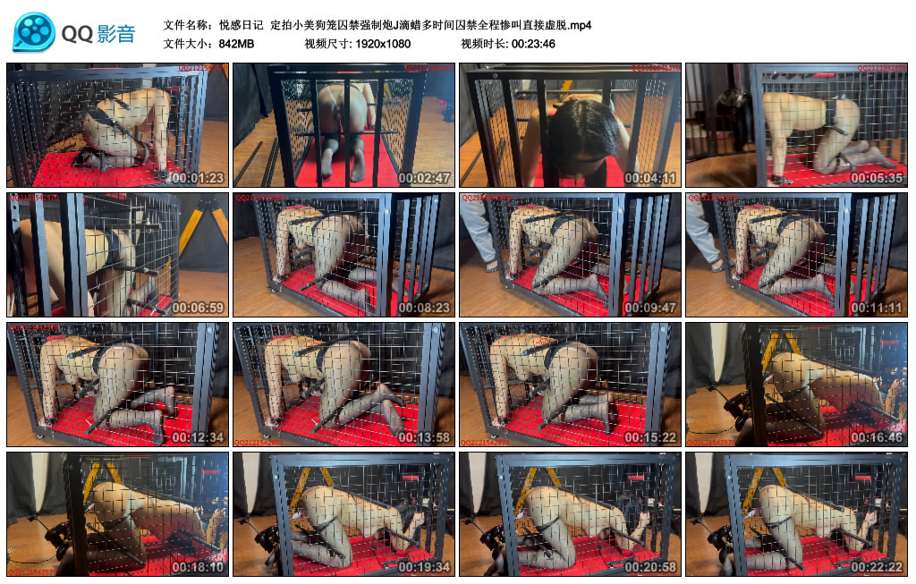 【悦感日记】 定拍小美狗笼囚禁强制炮J滴蜡多时间囚禁全程惨叫直接虚脱-BD绳艺资源
