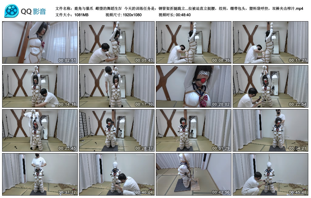 【鹿角与猫爪】雌堕的舞蹈生Ⅳ 今天的训练任务是：钢管架折腿跪立直臂拘束，菱缚绳...-BD绳艺资源