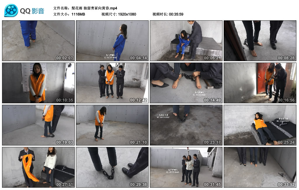 【梨花雨】独留靑冢向黄昏-BD绳艺资源