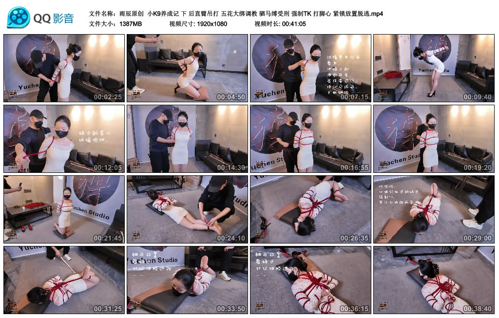 【雨辰原创】小K9养成记（下）-BD绳艺资源