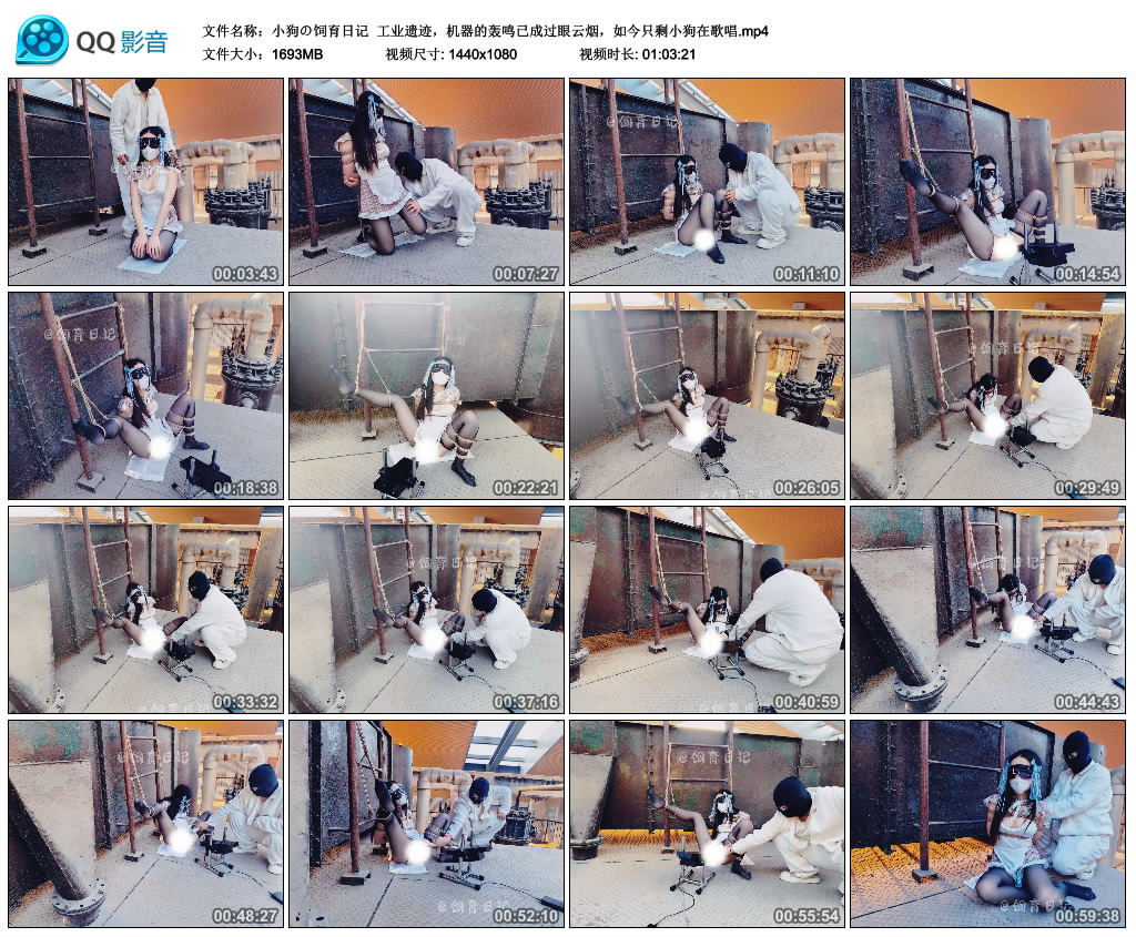 小狗の饲育日记- 工业遗迹，机器的轰鸣已成过眼云烟，如今只剩小狗在歌唱-BD绳艺资源