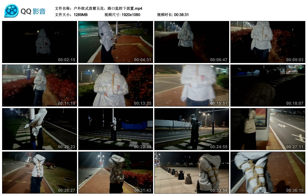 绯影责东-户外欧式直臂五花,路口监控下放置