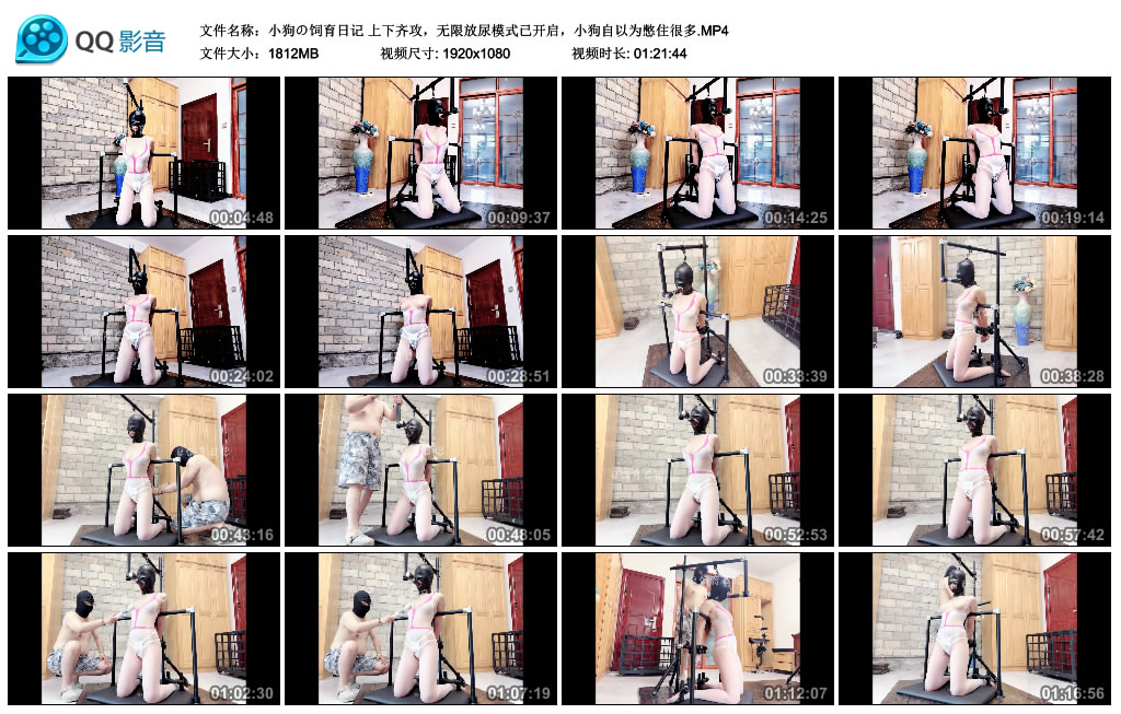 小狗の饲育日记-上下齐攻，无限放尿模式已开启，小狗自以为憋住很多-BD绳艺资源