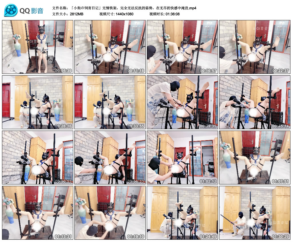小狗の饲育日记-无情铁架，完全无法反抗的姿势，在无尽的快感中淹没-BD绳艺资源