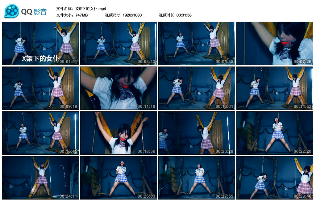 胜景影视-X架下的女仆