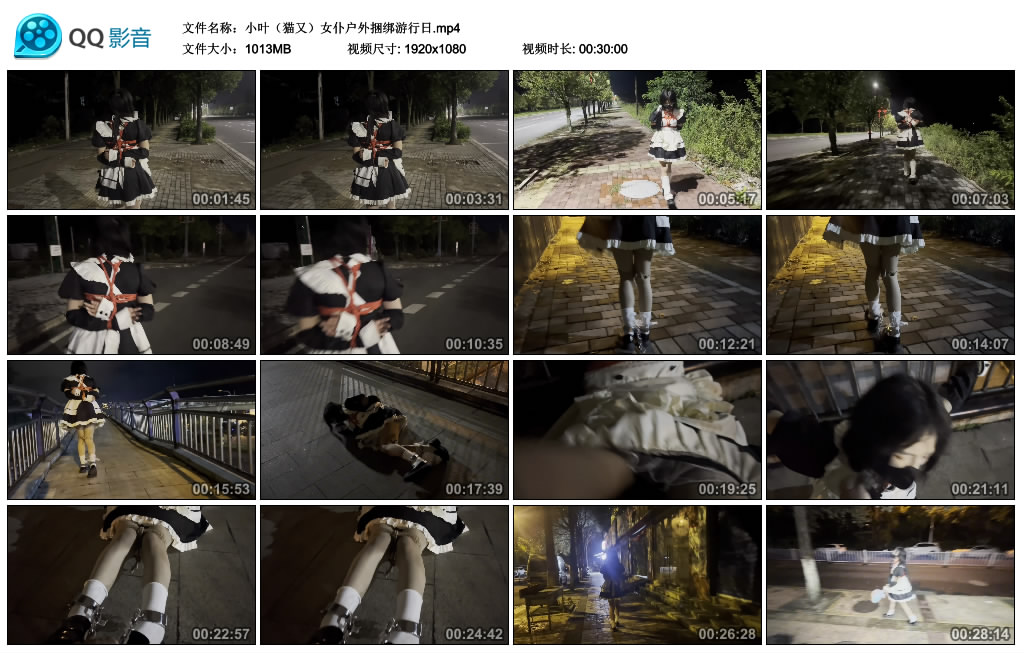 桃花岛-小叶(猫又)女仆户外捆绑游行日