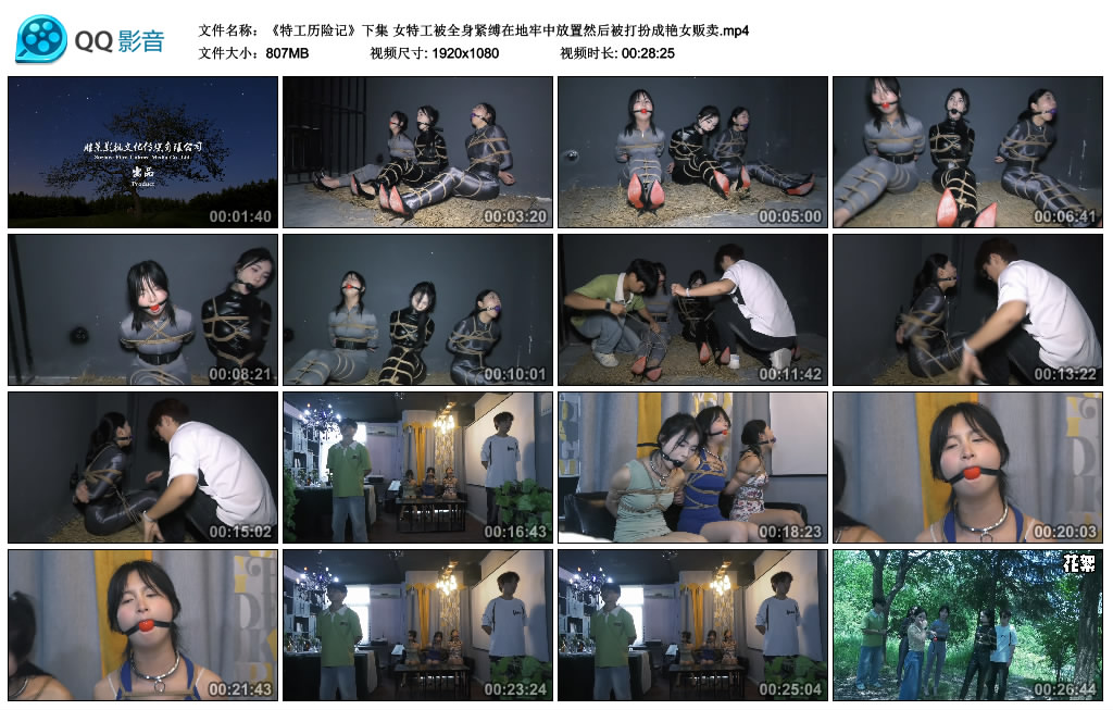 胜景影视-特工历险记(下集)