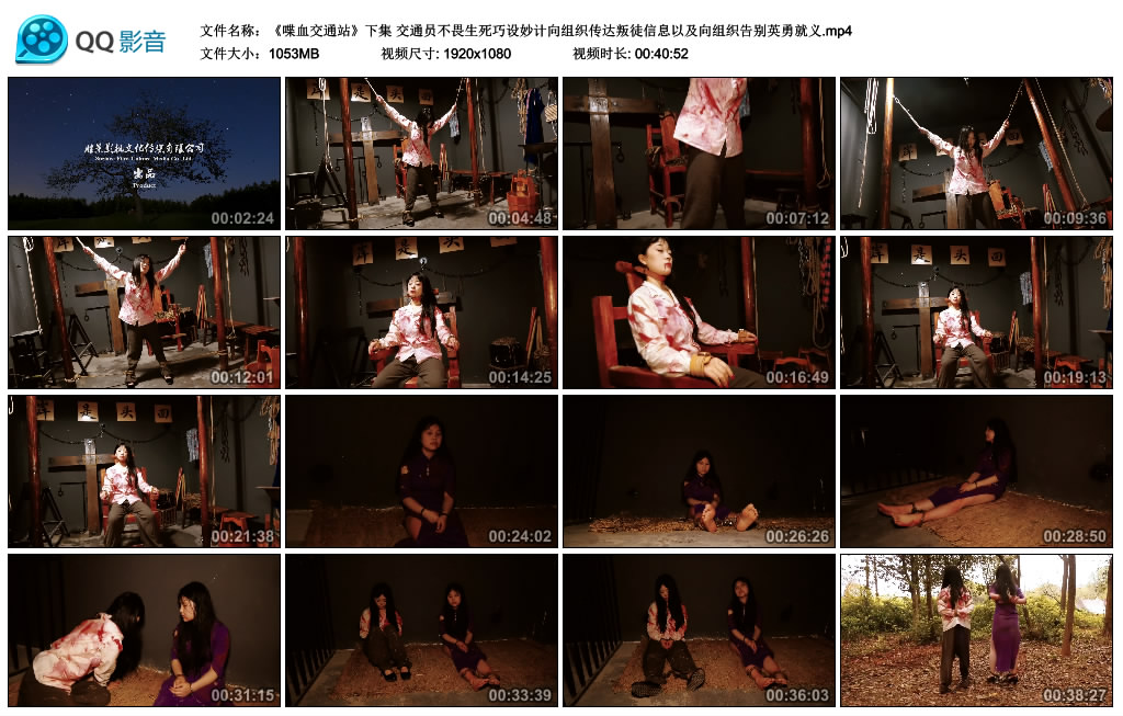 胜景影视-喋血交通站（下集）-BD绳艺资源