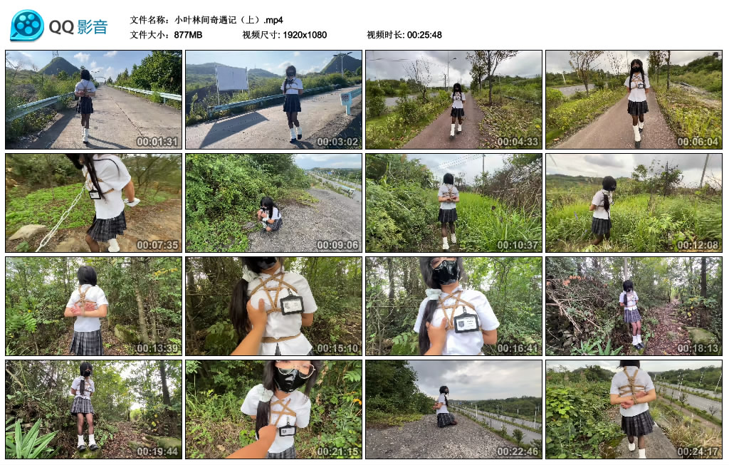 小叶林间奇遇记（上）-BD绳艺资源