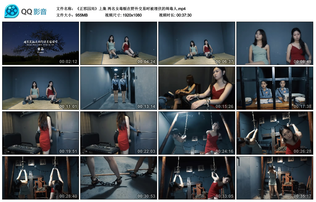 胜景影视-正邪囚局（上集） 两名女毒贩在野外交易时被埋伏的缉毒人-BD绳艺资源